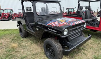 2025 Mahindra ROXOR Independence Rd full